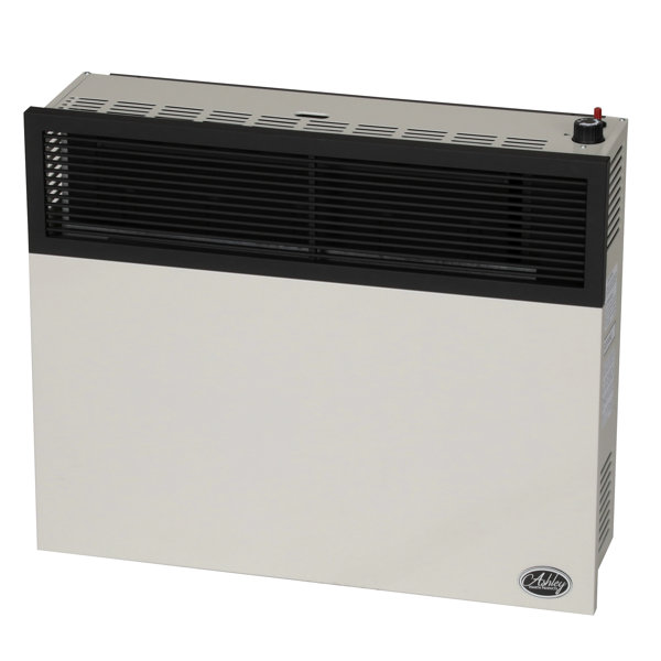 Ashley Hearth 25,000 BTU Direct Vent Convection Wall Mounted Heater